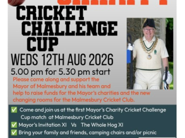 Mayor's Charity Cricket Match